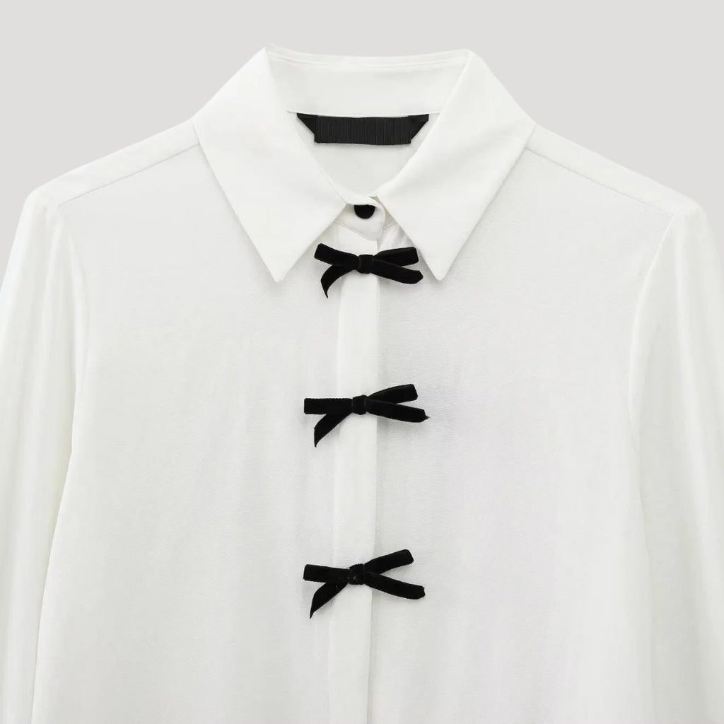 Ylena | Damesblouse met stippen en strik – Chiffon blouse met lange mouwen, elegante kantoor top