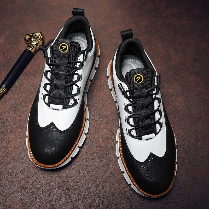 Apex | Heren schoenen van echt leer met veters, elegante zakelijke en smart casual schoenen